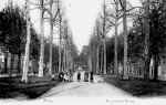 Mons : Boulevard Dolez o on aimait se promener sous les majestueux platanes. Il y a mme un banc pour mditer sur ce qu'est devenu cet endroit  notre poque.